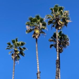 Meet your Posher, Desirie